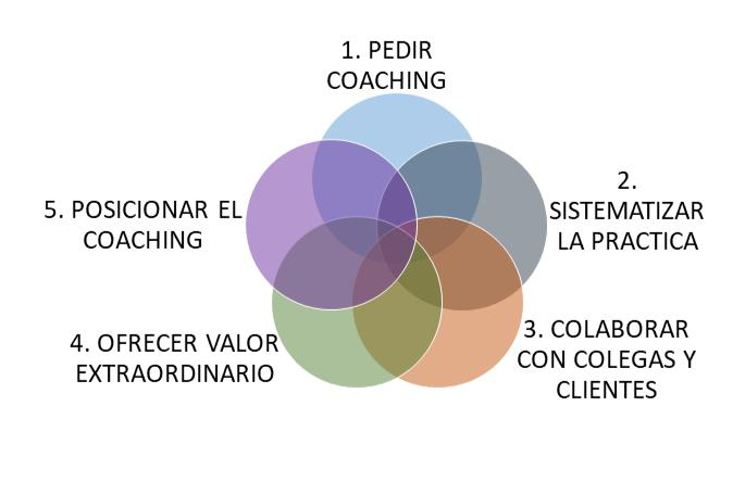 5 habitos